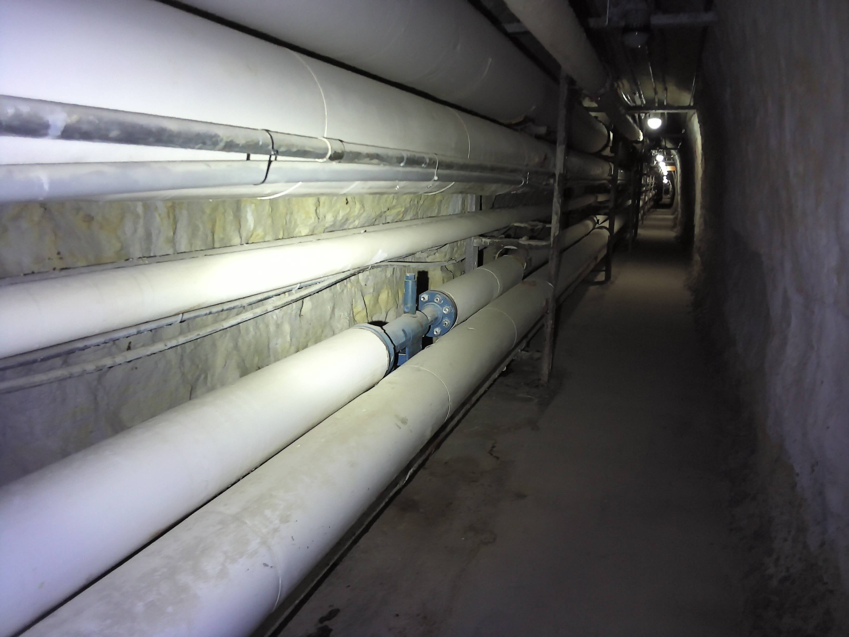 VIS: Ref 124501 - VIS