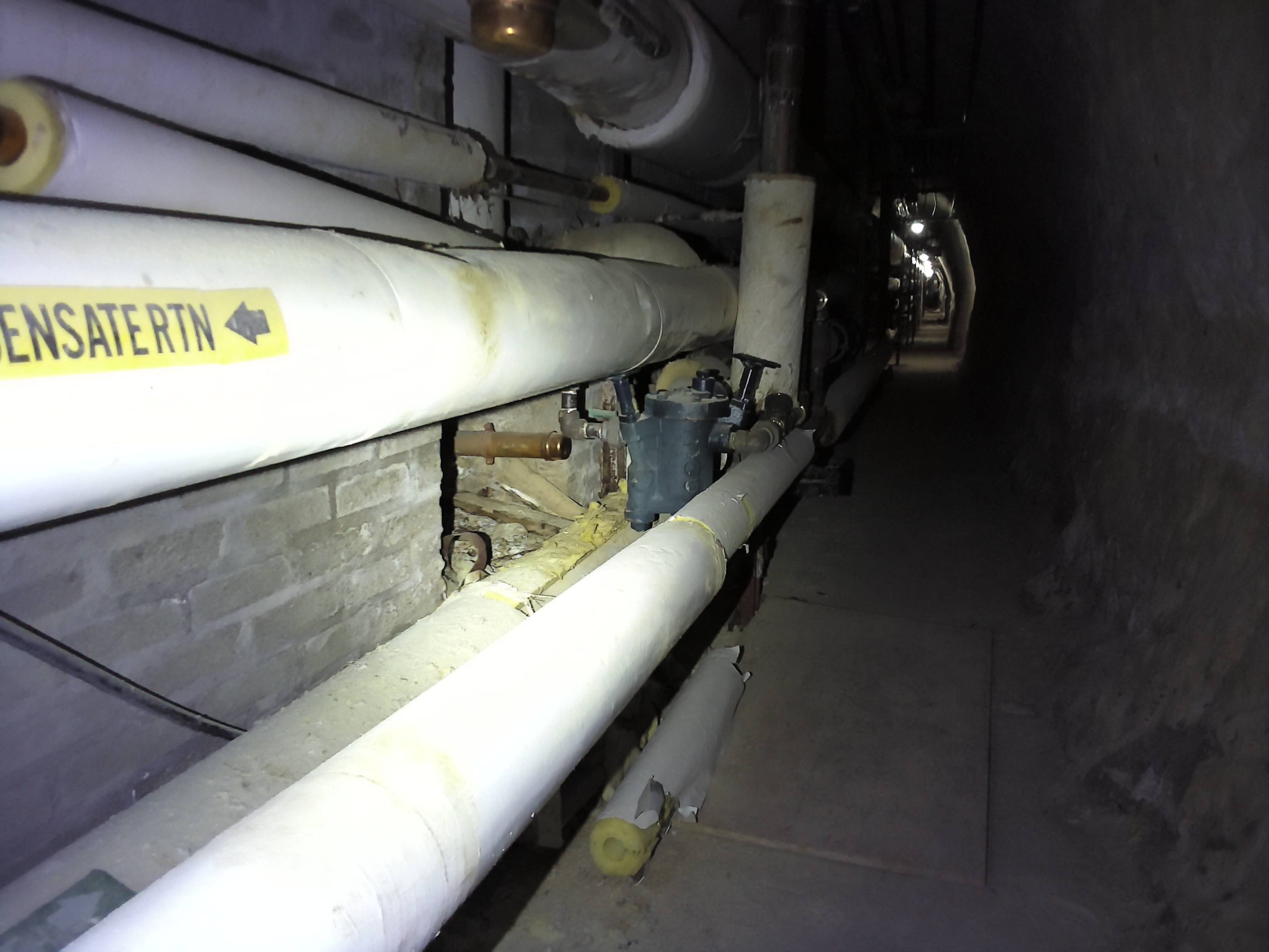 VIS: Ref 124855 - VIS